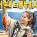 성안호
