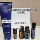 세이지제1차