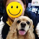 이윤세동물병원 이미지