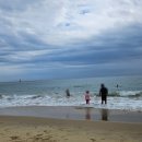 해운대해수욕장 | 해운대해수욕장 솔직후기 🌊 광안리와 비교한 아이와 놀기 좋은 바다