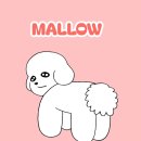 4974 | 미국 뉴욕 배슬 야경 애견 동반 I 강아지랑 뉴욕 여행 EP.7