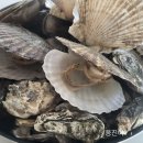 리틀미코노스5 이미지