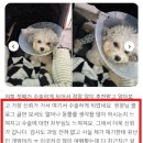 사당동물병원 이미지