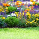 Flower Garden 이미지