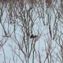 하은농장 이미지