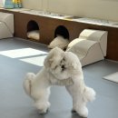 로움디자인