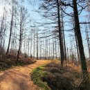 동화3길-3 이미지