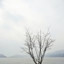두물머리공원 이미지