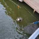 카페패밀리 | 시흥 패밀리낚시카페 내돈내산 후기