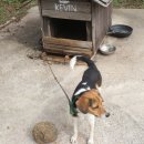 성산패밀리하우스 이미지