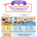 완도 제주도 배편 실버클라우드 예약 차량선적 펫룸 예약완료 / 강아지 고양이 제주도 가기