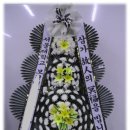 야탑동 351 (분당차병원) 이미지