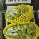 대종농장 이미지