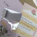 은수네 펫택시 | 요즘엔 행복이라는 걸 느끼는듯해요