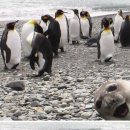 해맑은바다 이미지