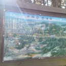 신성고 옆 등산로