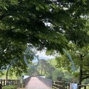 향가약수터 네이버블로그