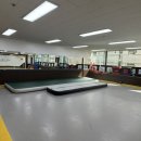 사자후 태권도 이미지