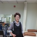 메디홀스 이미지