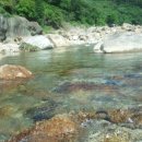 지리산맑은물팬션 이미지