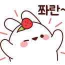 시가82 이미지