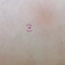 더바디2.0의원 이미지