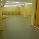 엉클독 애견유치원 이미지