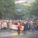 우후죽순 이미지