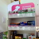 세종 권약국 이미지