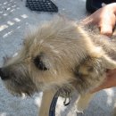 영림축산 이미지