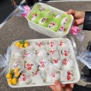 대철베드로의집 이미지