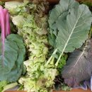 덕도주유소 이미지