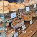 주정차-13 | 청주 빵지순례, 오송 빵맛집 &#39;밀즈&#39; 웨이팅 주차 오픈런 후기