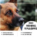 2018 KKC 저먼셰퍼드 지거쇼(본부전) 개최 알려드립니다. 이미지