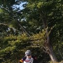 비내2 이미지