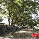 개야쉼터 이미지