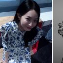 대명사