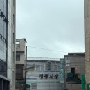 다온숲작은도서관 | 경동시장 카페추천 작은도서관 북카페 카페숲 방문후기