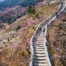 김종연농장 이미지