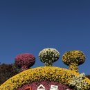 전기차충전소_수목원테마파크 | 대구 수목원 국화축제 가을 산책으로 딱 좋은 꽃구경 코스