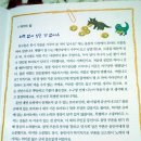 참멋태권도장 | 좋은책어린이 저학년문고 - 66. 티라노 딱지와 삼총사