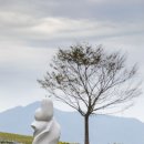 달성 대구현대미술제 이미지