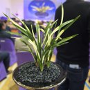 신안군민체육관 체육관 이미지