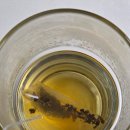 밤차 - 창원시 마산합포구 불종거리로 33 | 자연애 밤차 후기｜물대신 마시기 좋은 구수한 밤 티백차 부모님 선물로 추천해요♡