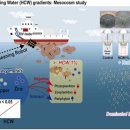 [2025 DAILY PICK 제144호] '선체 '수중청소로봇 부산물' 해양 생태계에 미치는 영향… 세계 최초 규명' 등 이미지