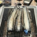 파라솔장어 이미지