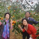 순분농장 이미지