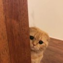 (주)코이 이미지