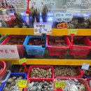 수산시장 티스토리