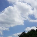 미강축산물직판장